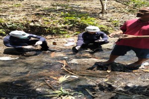 Pemeriksaan sampel air sungai dari Dinas Lingkungan Hidup Kabupaten Banyuwangi