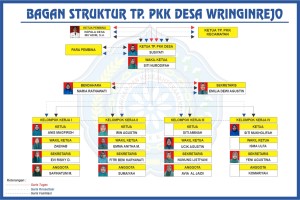 STRUKTUR PENGURUS TP. PKK DESA WRINGINREJO