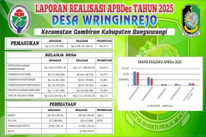 REALISASI APBDes 2025